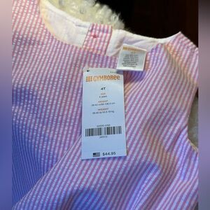 Gymboree Pink Seersucker Girls Dress, 4T, NWT
